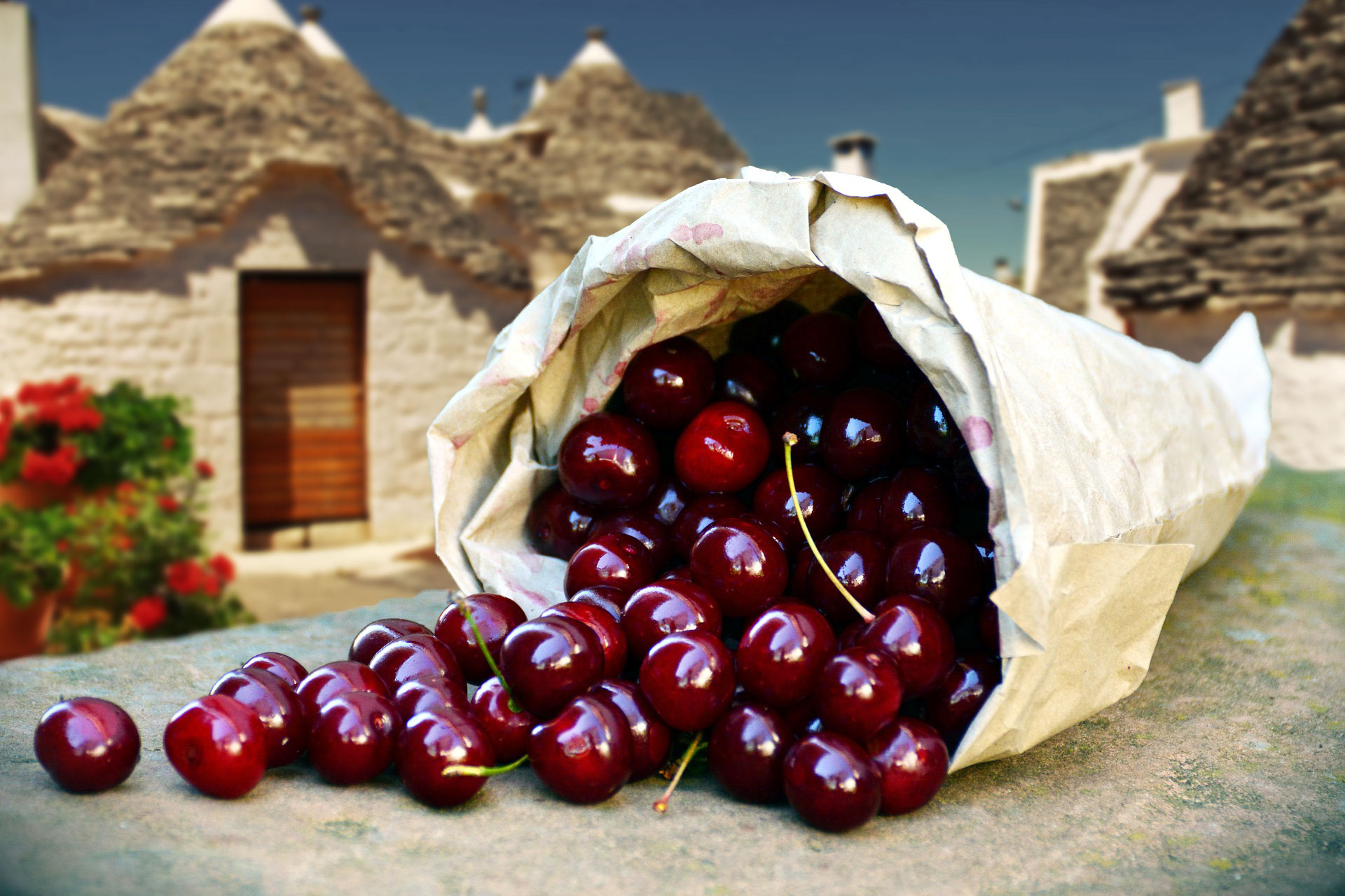 ciliegie puglia01